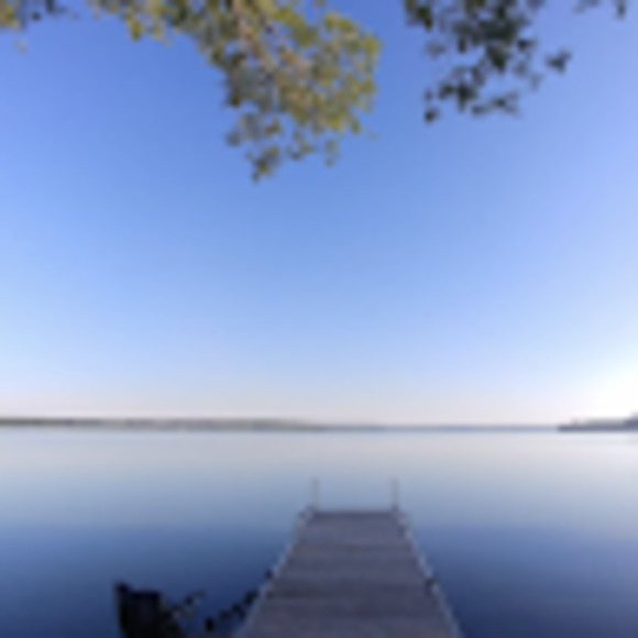 Meet your Posher, Tess - Picture 1 of 1